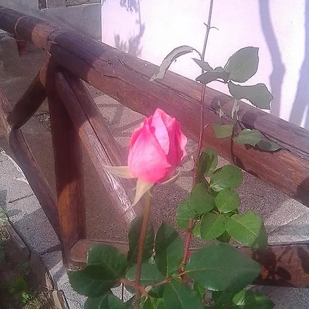 Sa Funtana Διαμέρισμα *